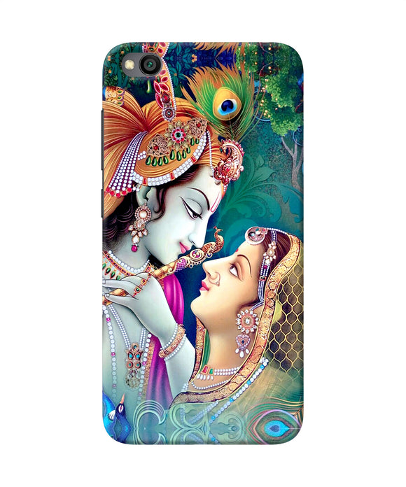 Lord Radha Krishna Paint Redmi Go Back Cover