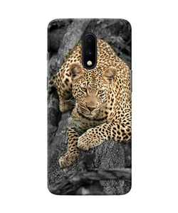 Sitting Leopard Oneplus 7 Back Cover