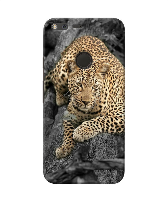 Sitting Leopard Google Pixel Xl Back Cover