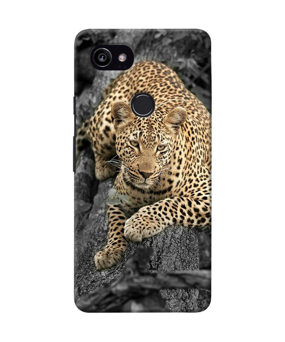 Sitting Leopard Google Pixel 2 Xl Back Cover