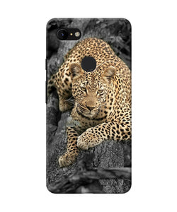 Sitting Leopard Google Pixel 3 Xl Back Cover