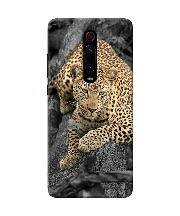 Sitting Leopard Redmi K20 Back Cover
