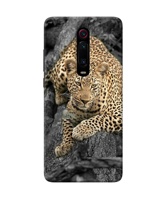 Sitting Leopard Redmi K20 Pro Back Cover