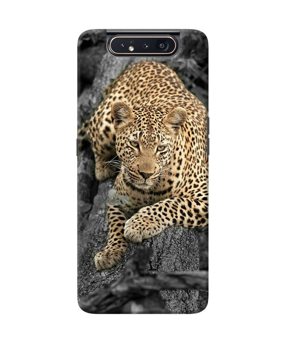 Sitting Leopard Samsung A80 Back Cover