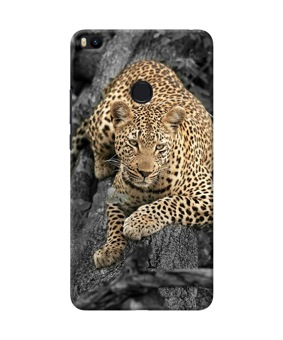 Sitting Leopard Mi Max 2 Back Cover