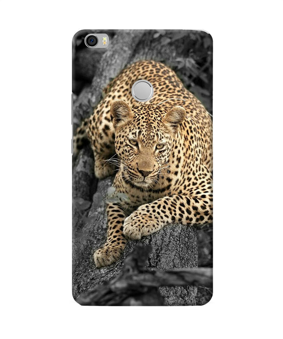 Sitting Leopard Mi Max Back Cover