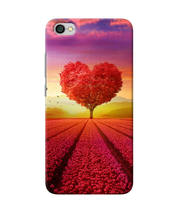 Natural Heart Tree Redmi Y1 Lite Back Cover