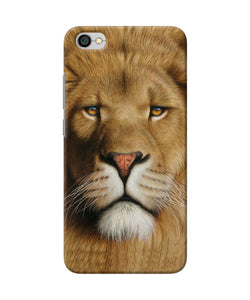 Nature Lion Poster Redmi Y1 Lite Back Cover