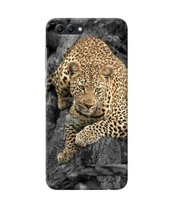 Sitting Leopard Honor View 10 Back Cover