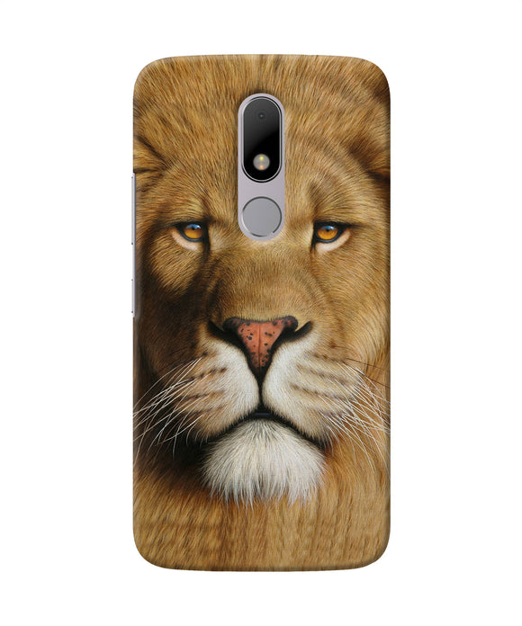 Nature Lion Poster Moto M Back Cover