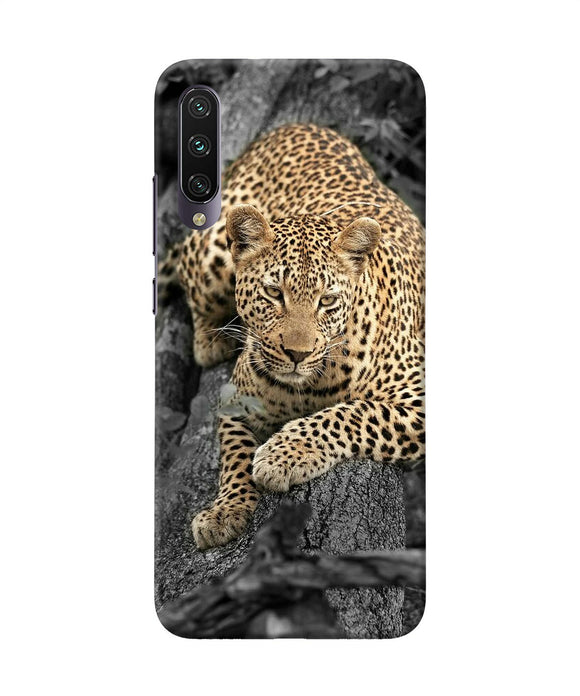 Sitting Leopard Mi A3 Back Cover