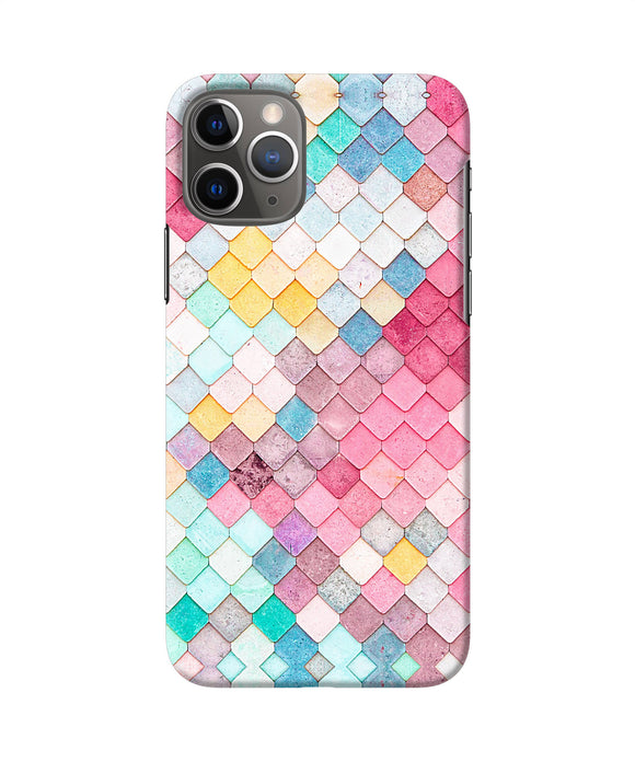 Colorful Fish Skin Iphone 11 Pro Back Cover