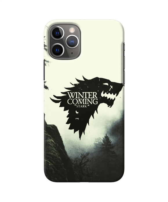 Winter Coming Stark Iphone 11 Pro Back Cover