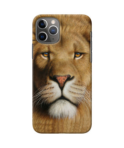 Nature Lion Poster Iphone 11 Pro Max Back Cover