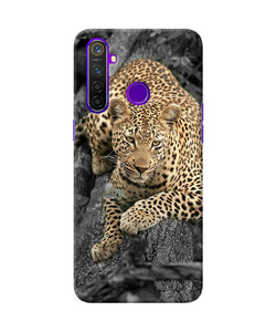 Sitting Leopard Realme 5 Pro Back Cover