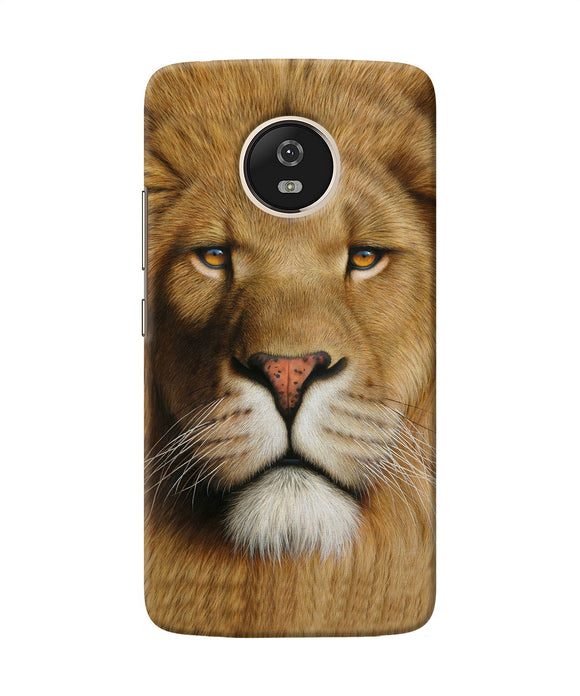 Nature Lion Poster Moto G5 Back Cover