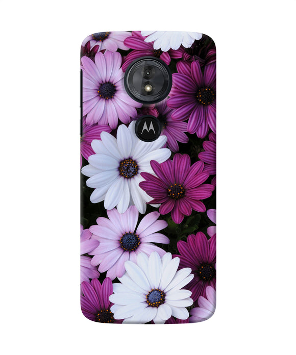 White Violet Flowers Moto G6 Play Back Cover