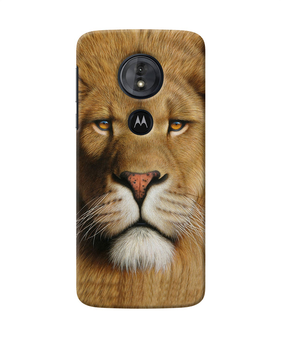 Nature Lion Poster Moto G6 Play Back Cover