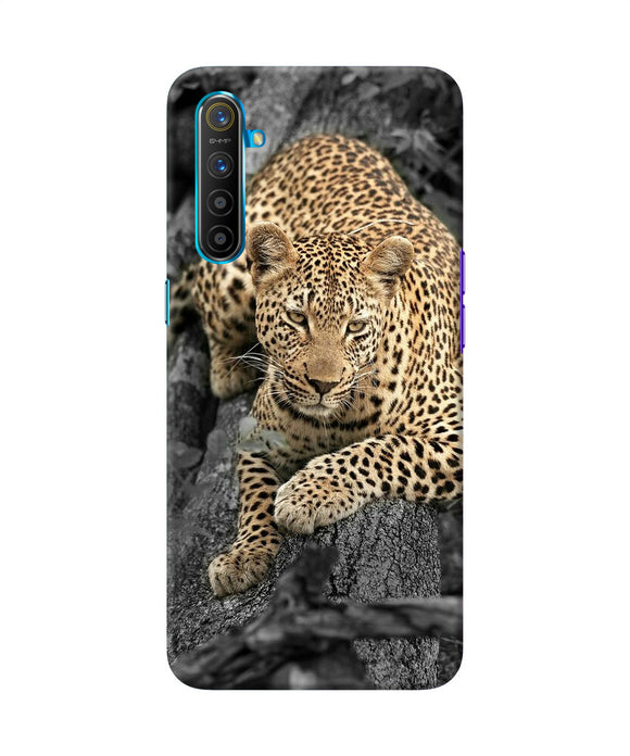 Sitting Leopard Realme Xt / X2 Back Cover