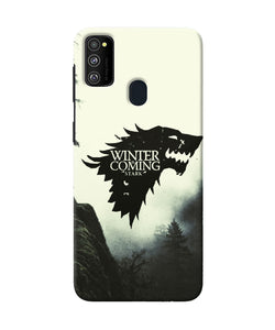 Winter Coming Stark Samsung M30s Back Cover