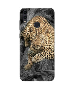 Sitting Leopard Honor 8c Back Cover