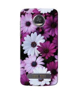 White Violet Flowers Moto Z2 Play Back Cover