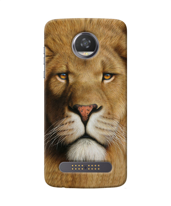 Nature Lion Poster Moto Z2 Play Back Cover