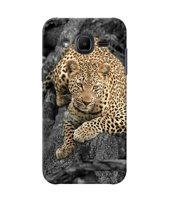 Sitting Leopard Samsung J2 2017 Back Cover