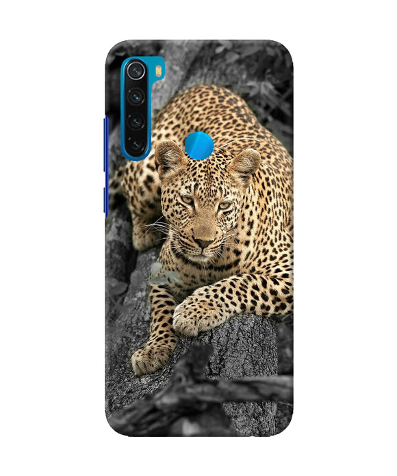 Sitting Leopard Redmi Note 8 Back Cover