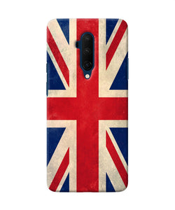 Us Flag Poster Oneplus 7t Pro Back Cover