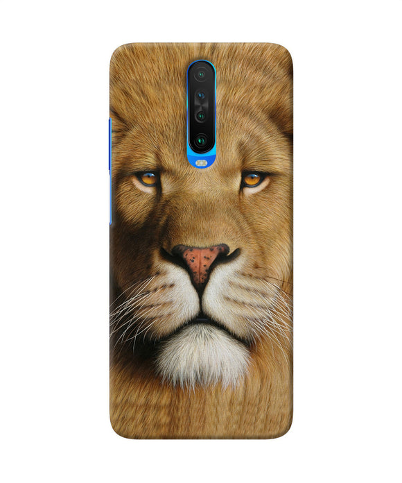 Nature Lion Poster Poco X2 Back Cover