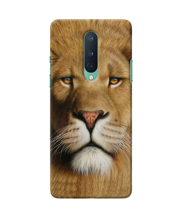 Nature Lion Poster Oneplus 8 Back Cover