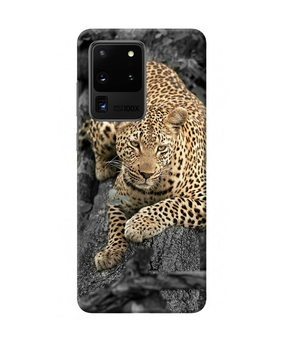 Sitting Leopard Samsung S20 Ultra Back Cover