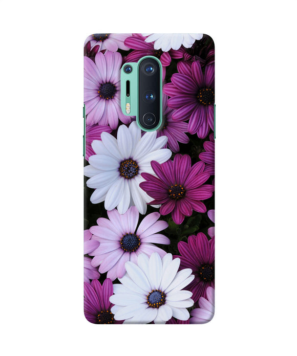 White Violet Flowers Oneplus 8 Pro Back Cover