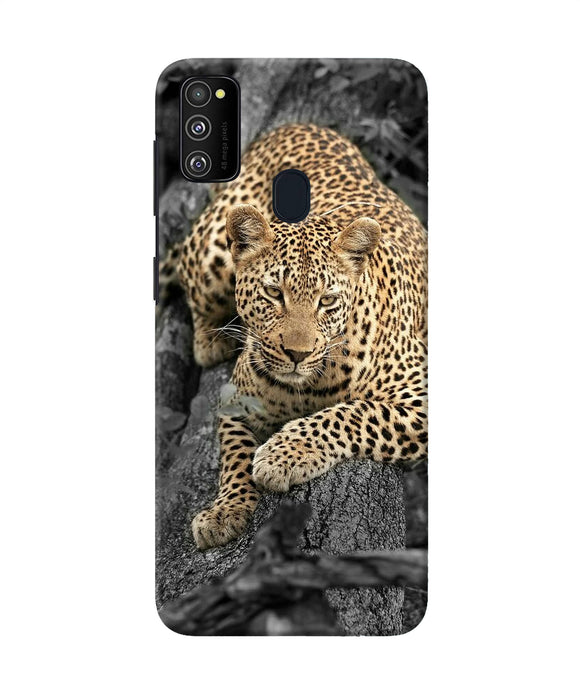 Sitting Leopard Samsung M21 Back Cover