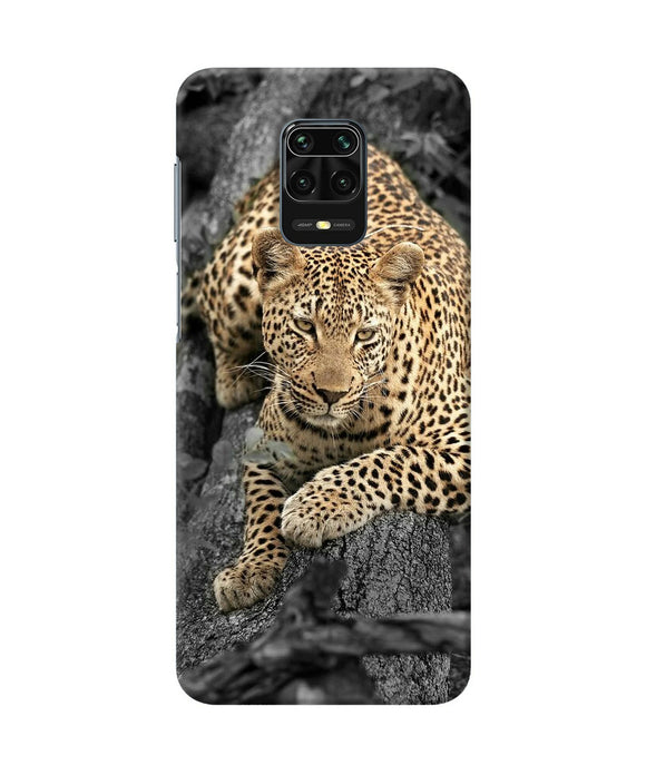 Sitting Leopard Redmi Note 9 Pro / Pro Max Back Cover