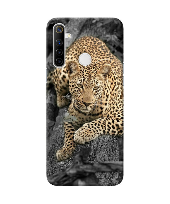 Sitting Leopard Realme Narzo 10 Back Cover