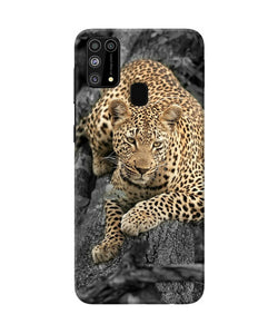 Sitting Leopard Samsung M31 / F41 Back Cover