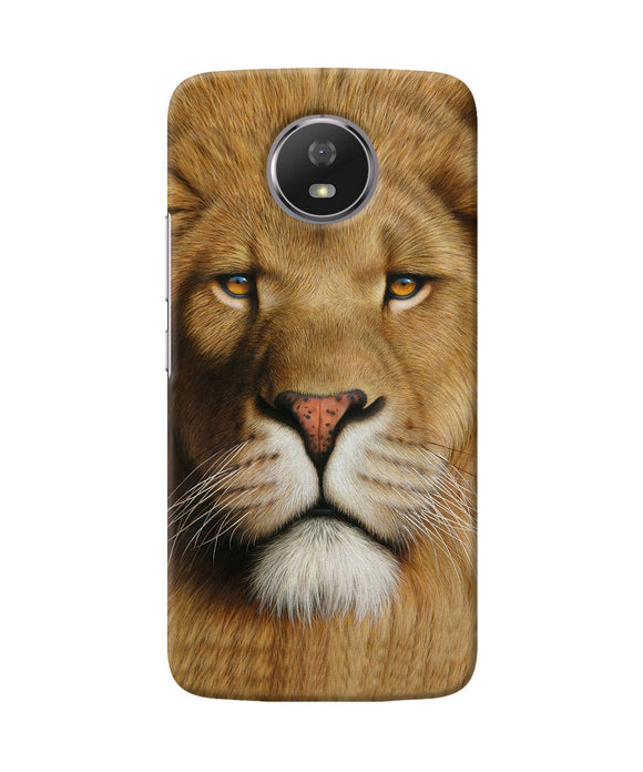 Nature Lion Poster Moto G5s Back Cover