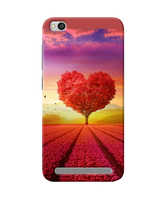 Natural Heart Tree Redmi 5a Back Cover