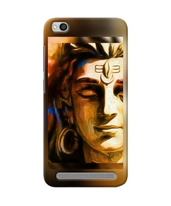 Shiva Painting Redmi 5a Back Cover