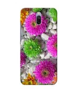 Natural Flower Stones Redmi 8a Dual Back Cover