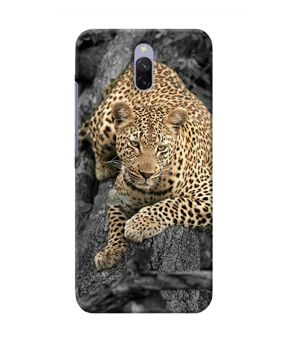 Sitting Leopard Redmi 8a Dual Back Cover