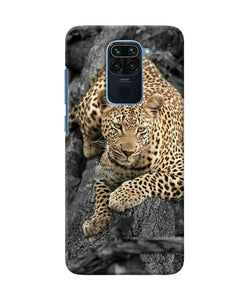 Sitting Leopard Redmi Note 9 Back Cover