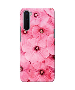 Pink Flowers Oneplus Nord Back Cover