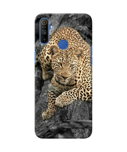 Sitting Leopard Realme Narzo 10a / 20a Back Cover