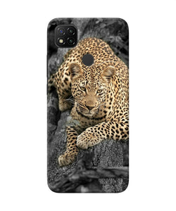 Sitting Leopard Redmi 9 Back Cover