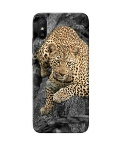 Sitting Leopard Redmi 9a / 9i Back Cover