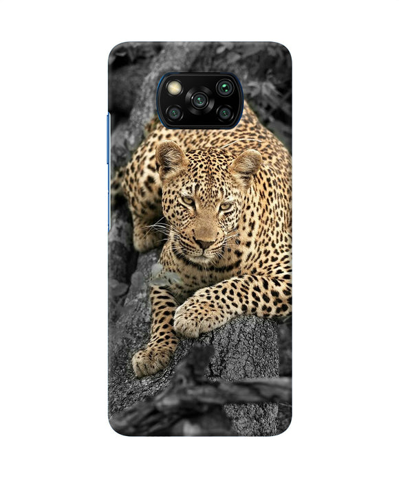 Sitting Leopard Poco X3/X3 Pro Back Cover