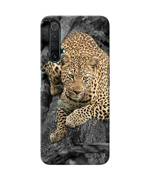 Sitting Leopard Realme X3 Back Cover